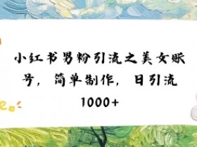小红书男粉引流项目之美女账号6,简单制作,条条爆款原创,不违规