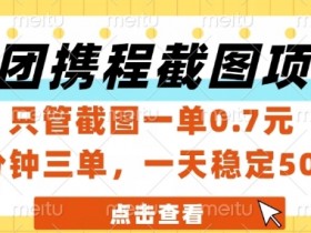 美团携程截图项目，只管截图一单0.7元，一分钟三单，一天稳定5张+【揭秘】