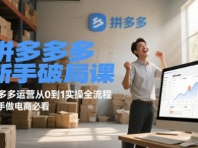 拼多多新手破局课,拼多多运营从0到1实操全流程,新手做电商必看