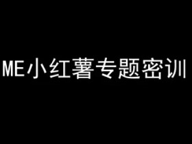 ME小红薯专题密训-小红书电商教程