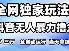全网独家玩法,抖音无人暴力撸金,月入3W,全自动运行,当天拿结果,可矩阵【揭秘】