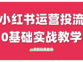 小红书运营投流,小红书广告投放从0到1的实战课,学完即可开始投放(更新)