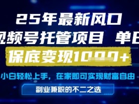 25年最新风口,视频号托管项目,单日保底变现1k+,手把手教学【揭秘】