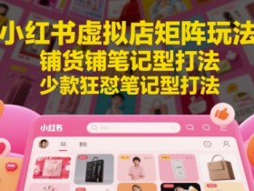 小红书虚拟店矩阵玩法,铺货铺笔记型打法,少款狂怼笔记型打法(更新)