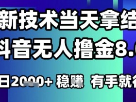 2025六月最新抖音无人撸金8.0.最新技术当天拿结果,单日1k+ 有手就行【揭秘】