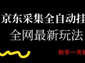 京东采集全自动挂G项目,全网最新玩法新手一天轻松5张【揭秘】