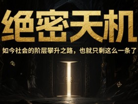 付费文章：绝密天机：如今社会的阶层攀升之路，也就只剩这么一条了