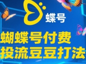 2025蝴蝶号付费投流豆豆打法,助新手快速掌握付费流量撬动自然流的核心玩法