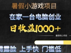 暑假小游戏项目,在家一台电脑创业,日收益1k+,无需露脸,上手快门槛低【揭秘】