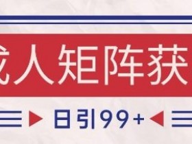小红书某音橙人赛道引流获客，自热矩阵日引200+【揭秘】