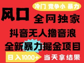 25年6月高爆抖音无人直播最新撸音浪掘金项目,解放双手小白可做,无脑日入1k+,门槛低【揭秘】