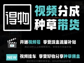 外面卖到1980的得物双通道玩法项目拆解，3-7天的一个起号周期，每月保底有3k – 5k【揭秘】