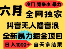25年6月高爆抖音无人直播最新撸音浪掘金项目,小白可做,无脑日入1k+,门槛低可批量矩阵【揭秘】