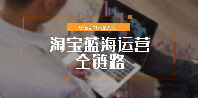 图片[1]-淘宝蓝海运营全链路，从选品到流量变现，小类目突围完整方案