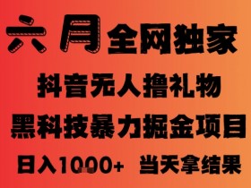 25年6月抖音无人直播最新暴力撸音浪掘金,小白可做,可批量矩阵放大,长期稳定日入1k+【揭秘】