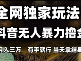 全网独家玩法抖音无人暴力撸金，月入3W，有手就行，当天拿结果【揭秘】