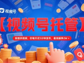【视频号托管 】我提供视频,你每天花5分钟发布,最高躺挣2W+【揭秘】