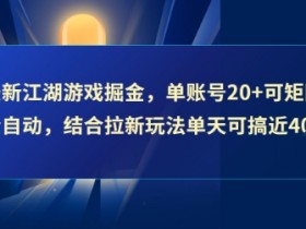 最新江湖游戏掘金,单账号20+可矩阵全自动 ,结合拉新玩法单天可搞4张+【揭秘】
