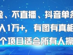 不露脸、不直播、抖音单条视频日入1W+,有图有真相!这个项目适合所有人操作