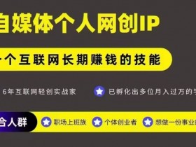 网创类公众号项目,自媒体个人网创IP,强IP强变现,操作一辈子