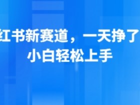 小红书新赛道,一天挣了13张,小白轻松上手