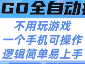 CSGO自动捡漏项目,最新独家玩法,不用挂G不用玩游戏,一个手机即可操作,新手小白轻松月入1W+【揭秘】