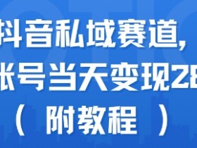 蓝海抖音私域赛道,实操单账号当天变现288+(附教程)