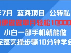 25年7月蓝海项目,公转私电商,随便做做单月轻松1w,小白一部手机就能做,完整实操步骤10分钟学会