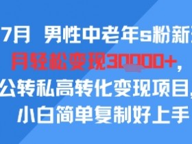 25年7月男性中老年s粉新玩法,月轻松变现3W+,公转私高转化变现项目,小白简单复制好上手