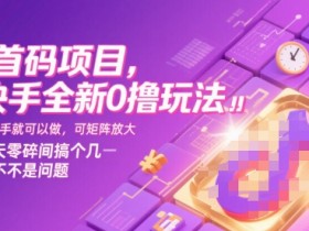 首码项目,快手全新0撸玩法,有快手就可以做,可矩阵放大,每天零碎时间搞个几张不是问题【揭秘】