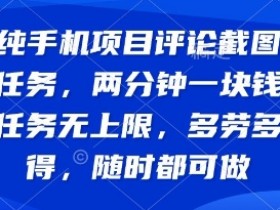 纯手机项目评论截图任务,两分钟一块钱 任务无上限多劳多得,随时随地都能做【揭秘】