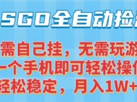 CSGO自动捡漏项目,最新独家玩法,一个手机可操作,新手小白轻松月入1W+,操作简单易上手【揭秘】