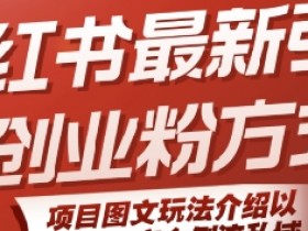 小红书最新引流创业粉方式,项目图文玩法介绍以及如何安全倒流私域