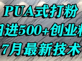 怎么打创业粉,PUA制造焦虑,单人日引500+精准流量