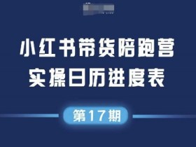 小红书第17期带货陪跑营,不囤货,无不直播,无不投流,通过选品+笔记内容+测品+笔记铺量+矩阵运营打爆款