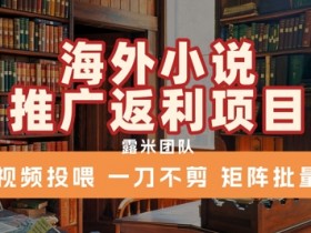 海外小说推广返利项目,视频投喂, 一刀不剪,矩阵批量