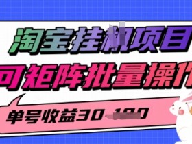 淘宝挂G项目,单号30,可矩阵批量操作