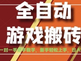 全自动游戏搬砖,日入1K,全程陪跑教学长期可做,小白轻松上手操作的稳定项目【揭秘】