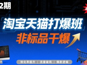 淘宝天猫打爆班原创高阶技术第72期,非标品干爆