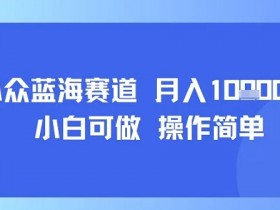 小众蓝海赛道,小白可做,操作简单,每天30分钟,月入1W+