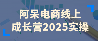 新媒体运营阿呆电商线上成长营2025实操