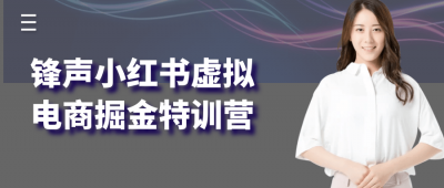 新媒体运营锋声小红书虚拟电商掘金特训营