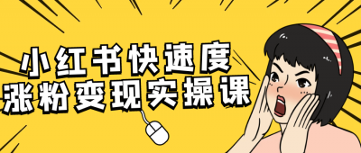 新媒体运营小红书快速度涨粉变现实操课