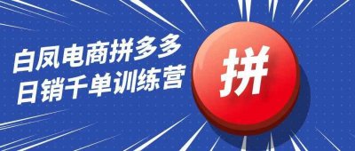 新媒体运营白凤电商拼多多日销千单训练营