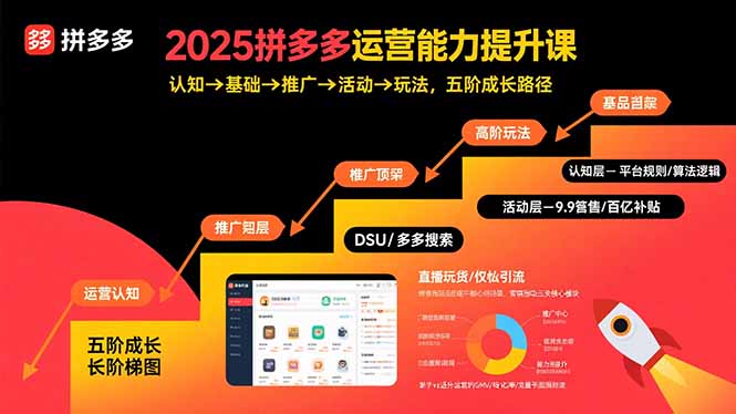 (15826期)2025拼多多运营能力提升课:认知→基础→推广→活动→玩法,五阶成长路径