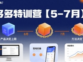 多多特训营,产品决定上限,方法决定下限,各种玩法技巧落地实操(更新)