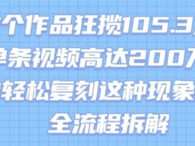 17个作品狂揽105.3W粉,单条视频高达200W赞,用Ai轻松复刻这种现象级流量!(全流程拆解)