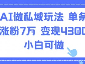 用AI做私域玩法,单条视频涨粉7W变现4.3k,小白可做