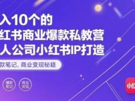 月入10个的小红书商业爆款私教营,一人公司小红书IP打造,爆款笔记,商业变现秘籍