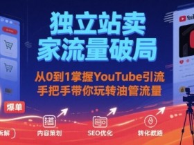 独立站卖家流量破局:从0到1掌握YouTube引流,手把手带你玩转油管流量